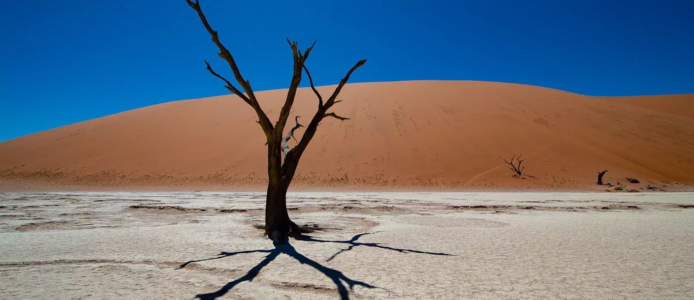 van kaapstad tot victoria watervallen namibia sossusvlei groot.webp