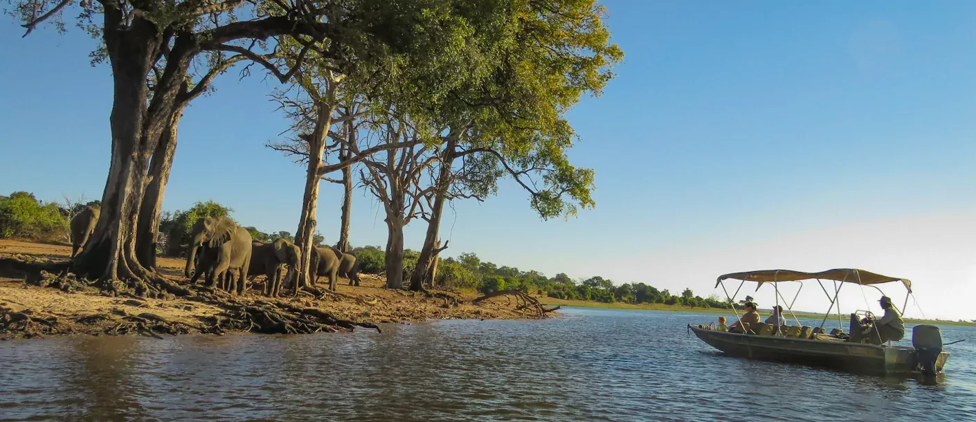 wildkamperen in botswana 002 groot.webp