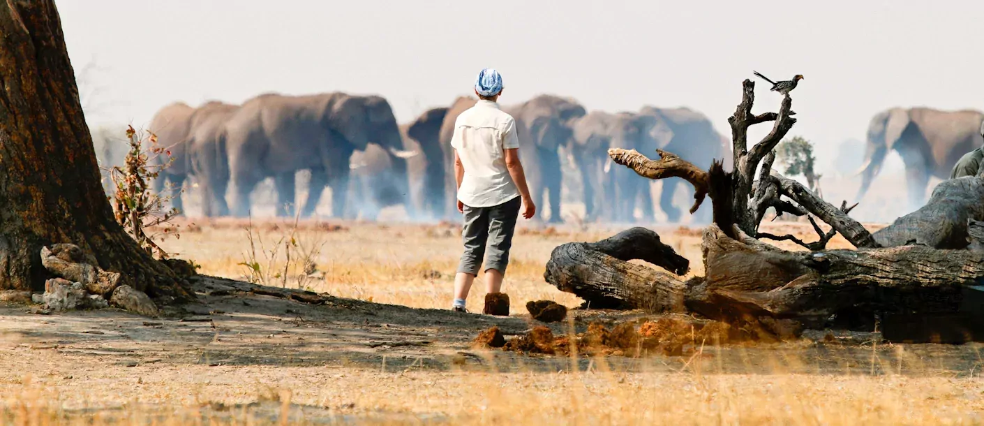 wildkamperen in botswana 015 groot.webp