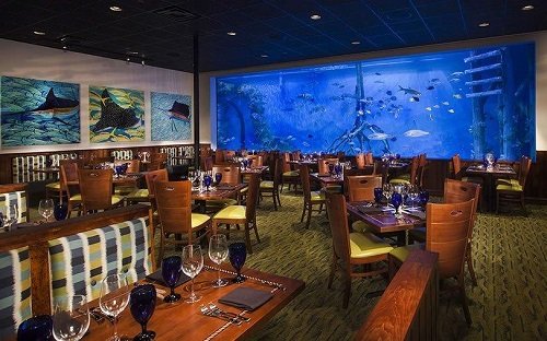 Guy Harvey Outpost grill restaurant