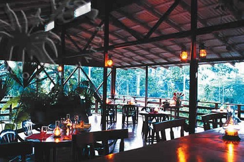 Selva Bananito Lodge 004